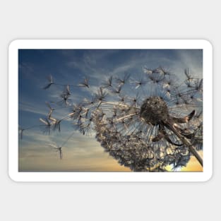 Summer Breeze Dandelion Sticker